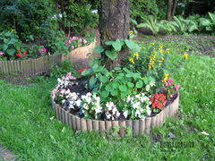 Ogród 17.07.13 001.jpg
