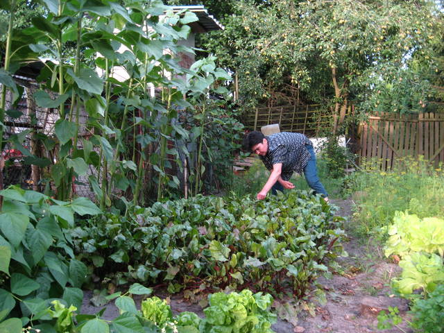 Ogród 17.07.13 020.jpg - lingawagina