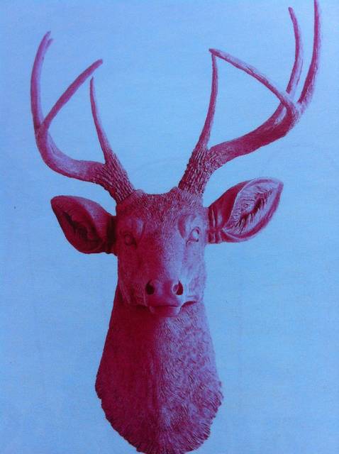 580015_114127155402226_1634199896_n.jpg - Wawa___on