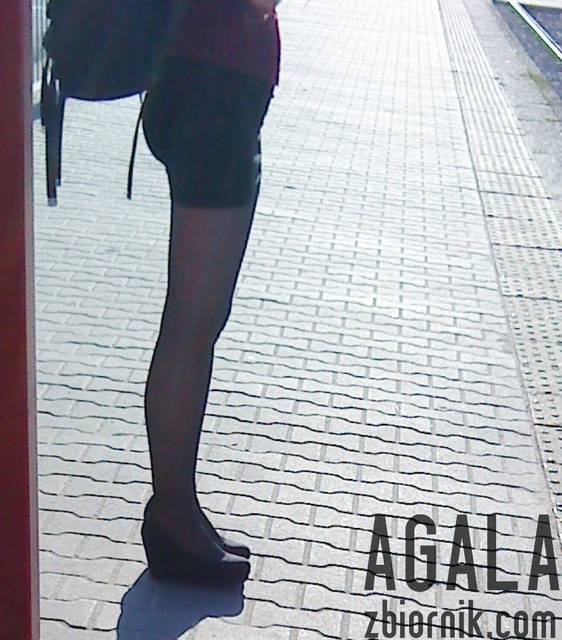 DSC03794odj.jpg - AGALA
