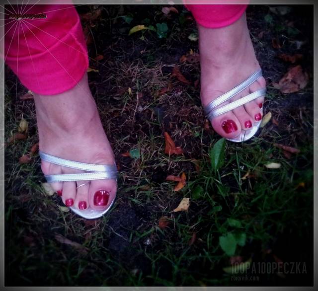 Srebrne #06 - 100pa100peczka