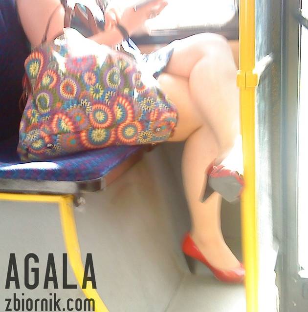 DSC03809kl.jpg - AGALA