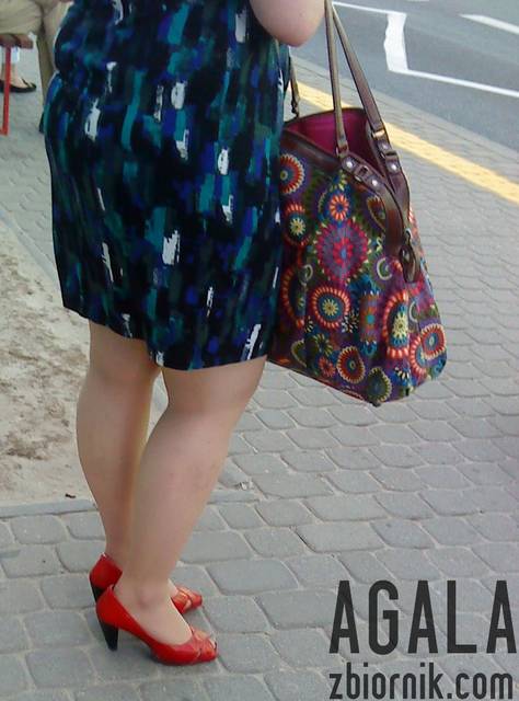 DSC03806kl.jpg - AGALA