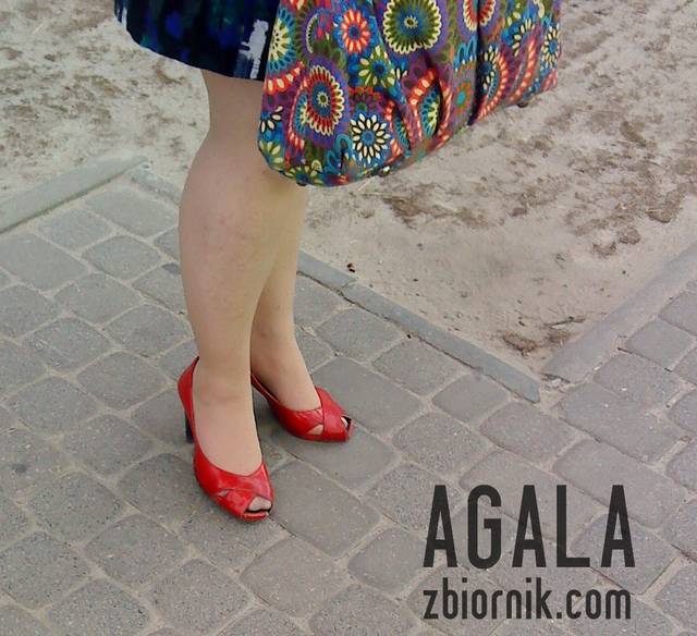 DSC03803kl.jpg - AGALA