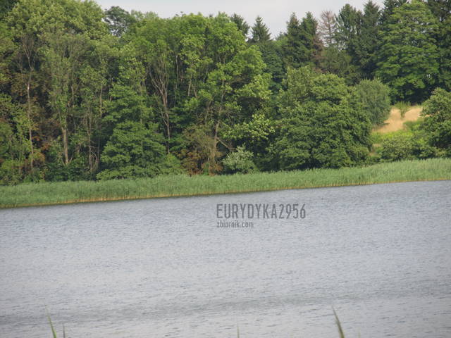 troszkę krzywo , też jest prosto:) - Eurydyka2956