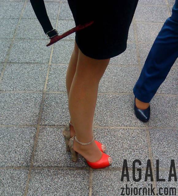 DSC03828kl.jpg - AGALA