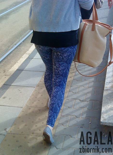 DSC03903L.jpg - AGALA