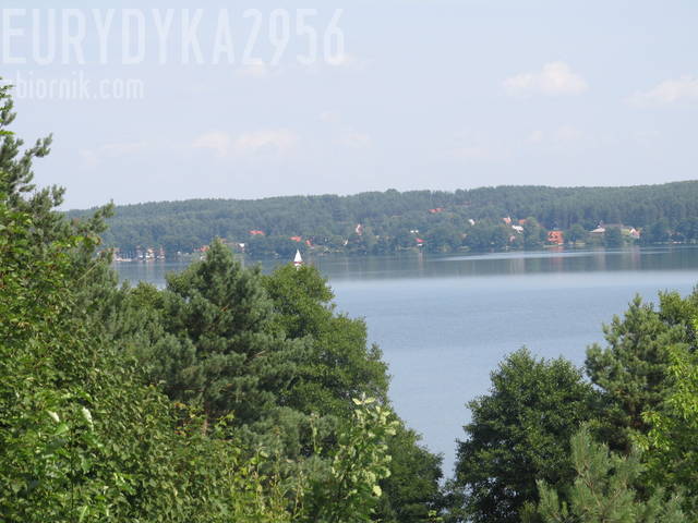 cd okienka :) - Eurydyka2956