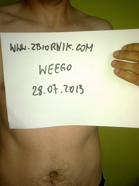 20130728150.jpg - weego