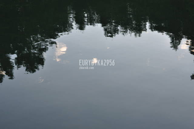 prawda ze ładne ? - Eurydyka2956