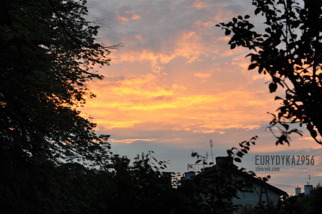 zachód słonca - Eurydyka2956
