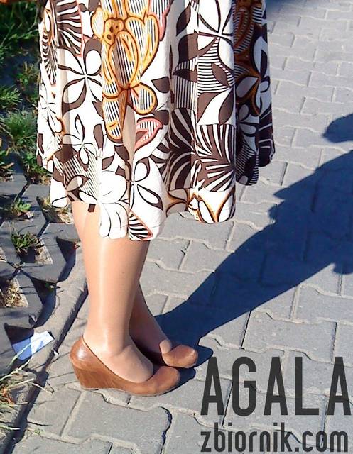 DSC03921kl.jpg - AGALA