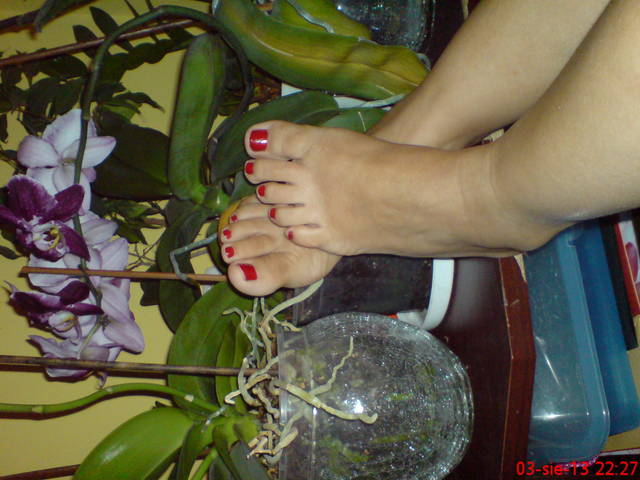DSC00430.JPG - adam_1262