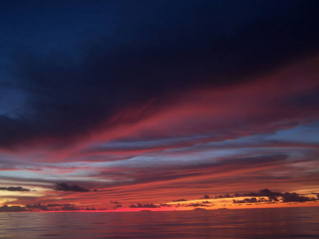 100_3373.JPG - seawolfi