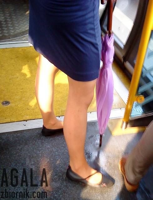 DSC03981kl.jpg - AGALA