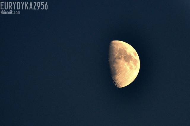 3 (1).JPG - Eurydyka2956