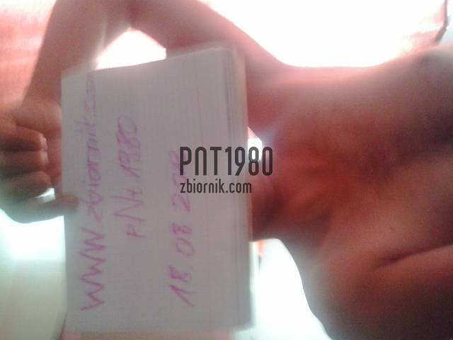 pnt1980.jpg - pNt1980