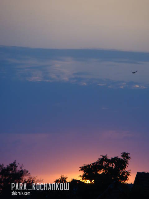 Kolory... - para_kochankow