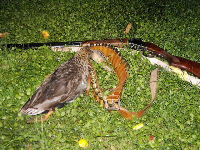 PIC03760.JPG - tumak87