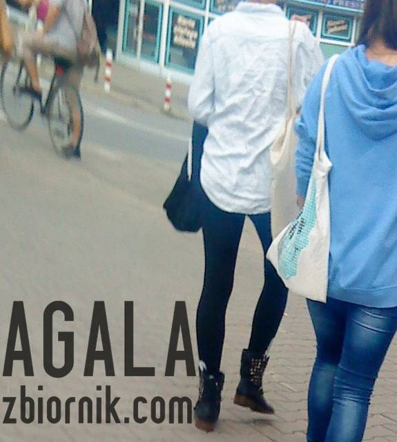 DSC04056L.jpg - AGALA