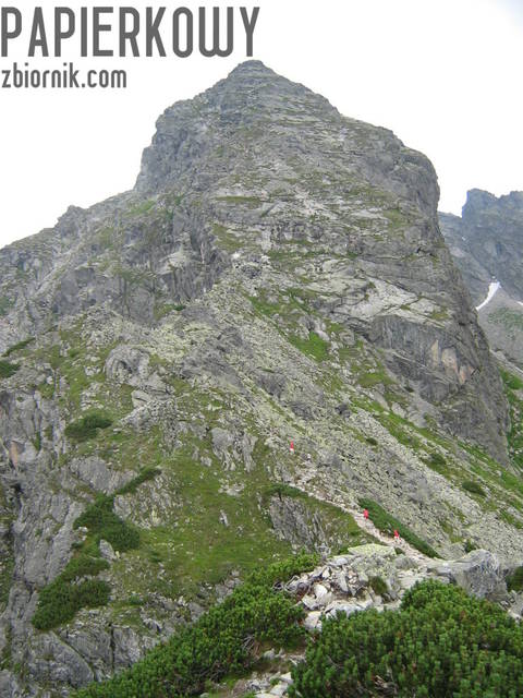 Kościelec - papierkowy