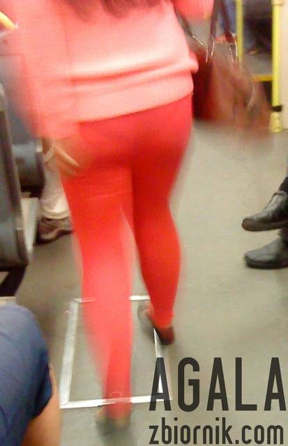 DSC04185L.jpg - AGALA