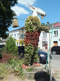 Kwietny Koziołek - chyba główny sponsor Pacanowa