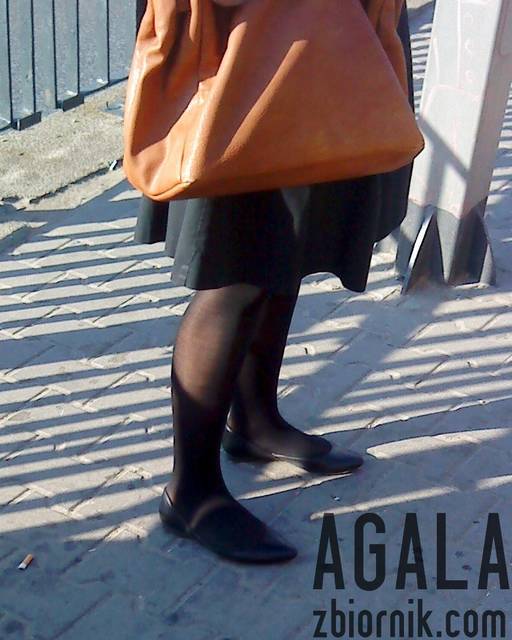 DSC04280cz.jpg - AGALA