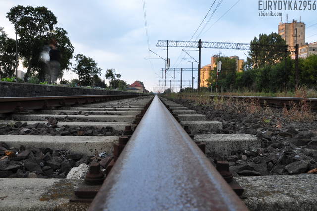 DSC_7063.JPG - Eurydyka2956