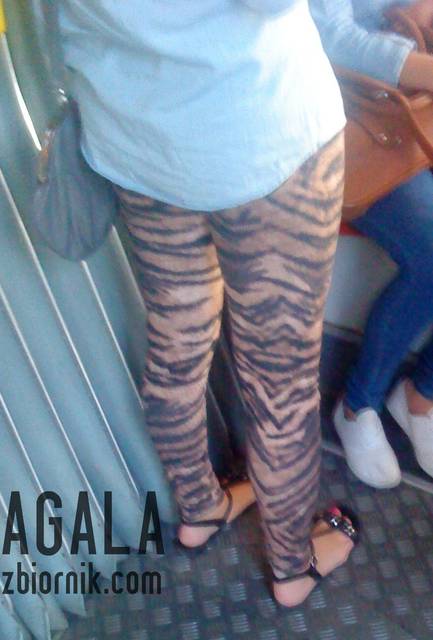 DSC04326L.jpg - AGALA