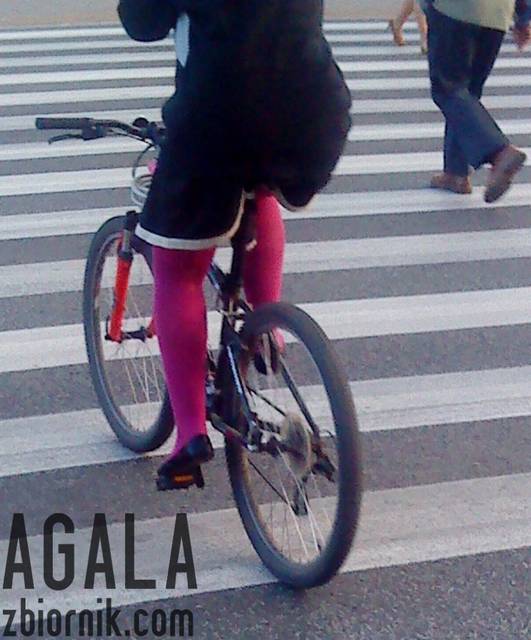 DSC04325kol.jpg - AGALA