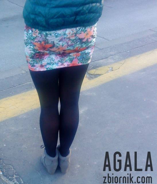 DSC04321cz.jpg - AGALA