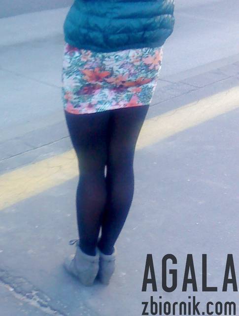 DSC04320cz.jpg - AGALA