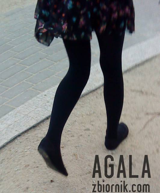 DSC04318cz.jpg - AGALA