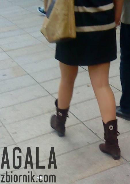 DSC04307kl.jpg - AGALA