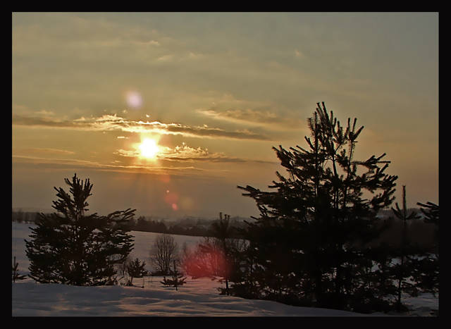 DSCF6522,.jpg - maciekkielce