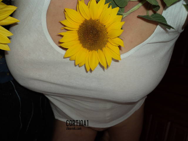 było lato....... - cortina1