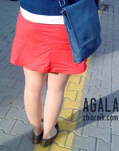 DSC04347kl.jpg - AGALA