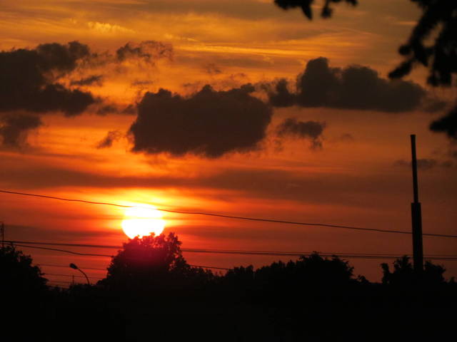 IMG_0762.JPG - wodnik50