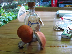 lokowanie produktu :)