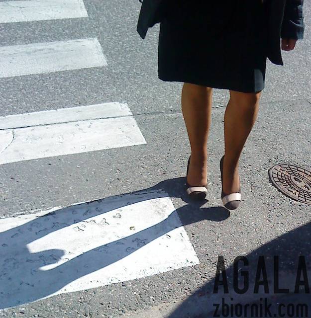 DSC04545kl.jpg - AGALA