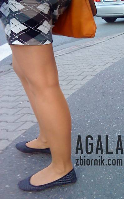 DSC04564kl.jpg - AGALA