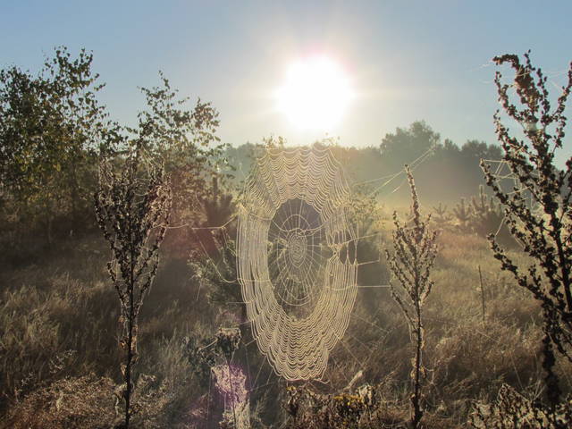 IMG_2899.JPG - wodnik50