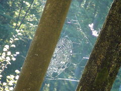 ...a to zwiastuje piękną polską jesień