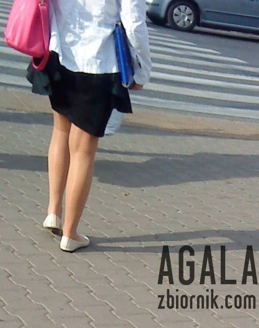 DSC04616kol.jpg - AGALA