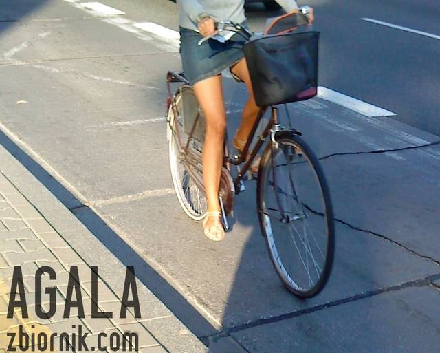 DSC04586kl.jpg - AGALA