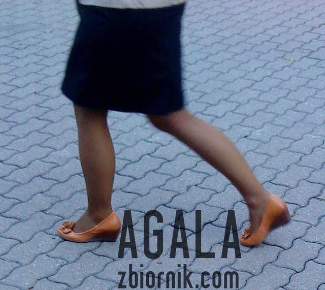 DSC04631v.jpg - AGALA