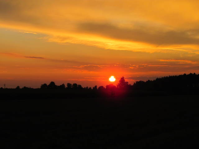 IMG_3116.JPG - wodnik50