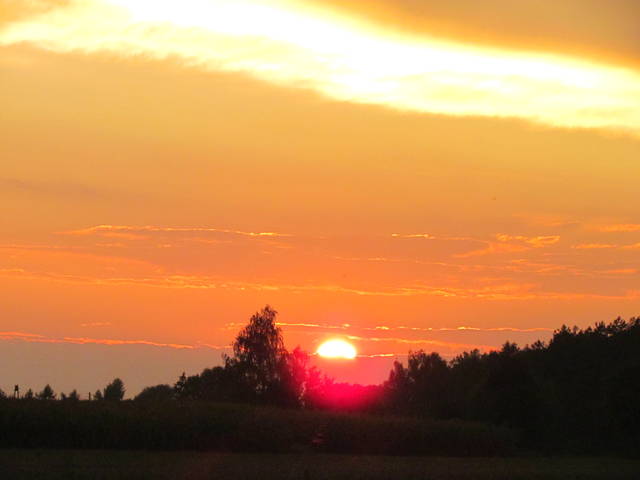 IMG_3125.JPG - wodnik50