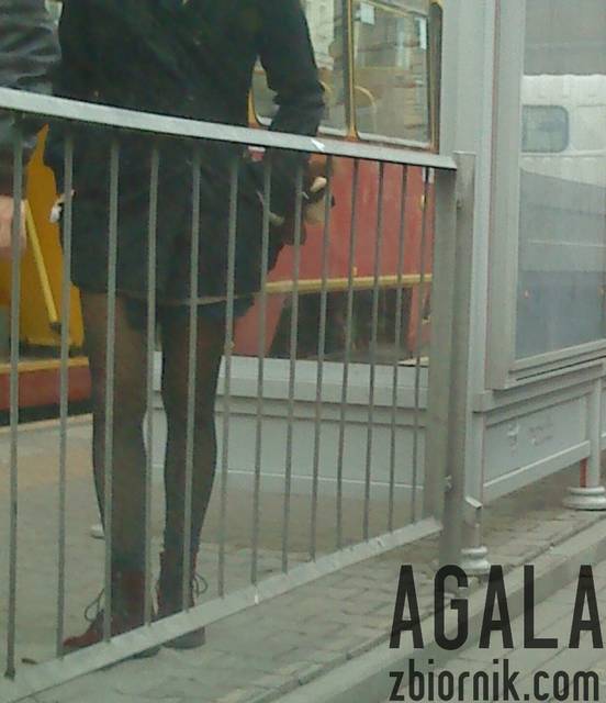 DSC04641cz.jpg - AGALA